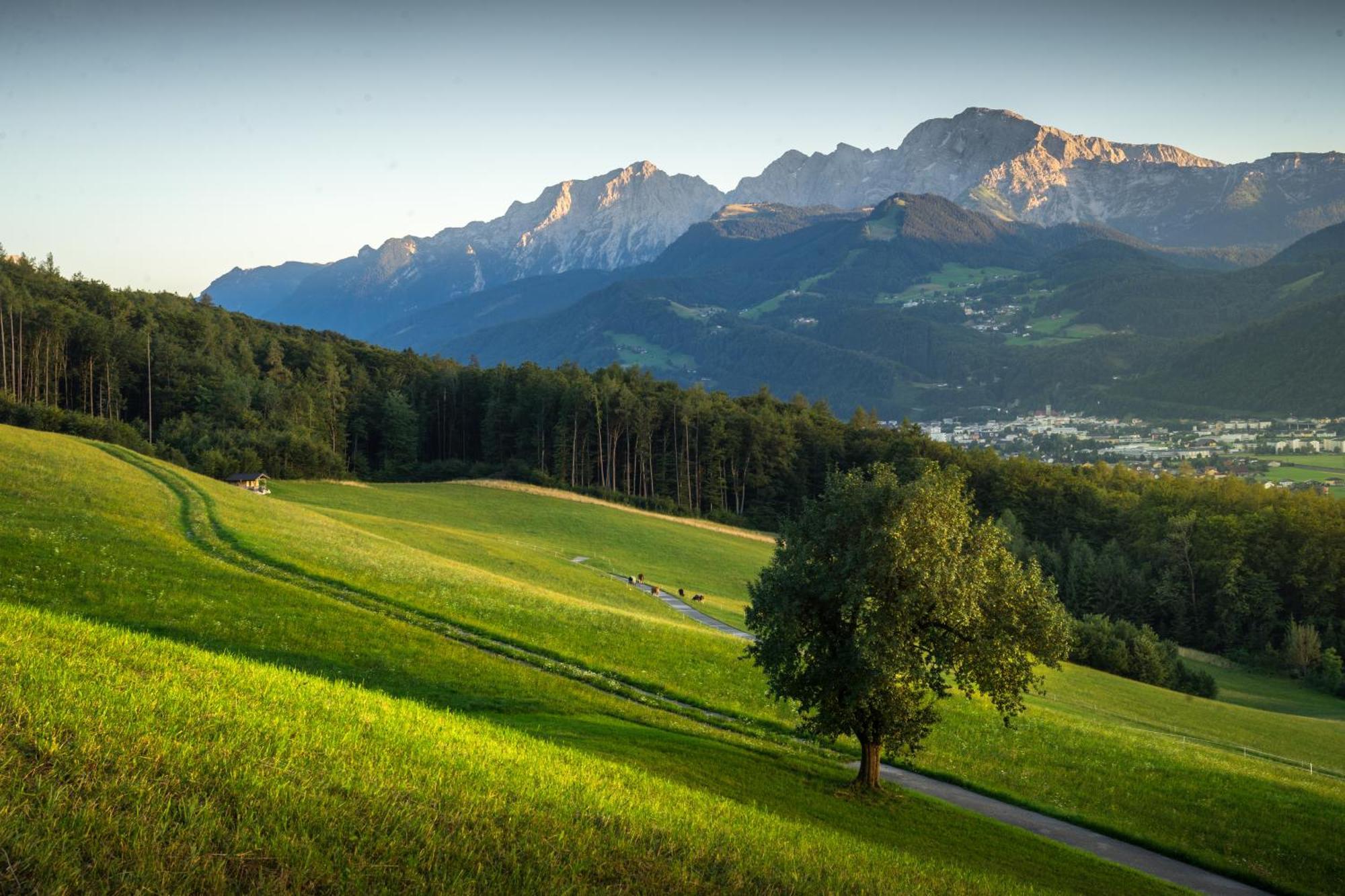 Landhaus Armstorfer Puch bei Hallein Bagian luar foto